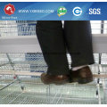 Farm Equipment Poultry Battery Cages for Broiler Chicken